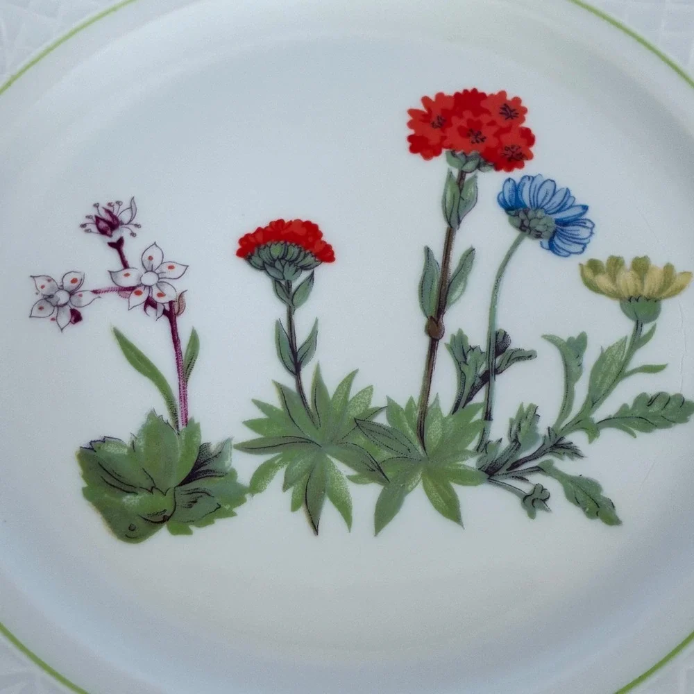 2 Louis Lourioux Plates France French Country Wildflower Cottage Shabby Chic